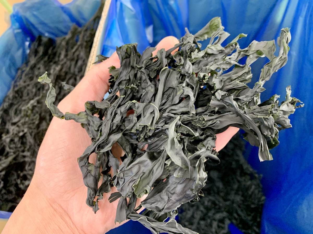 三陸The+WAKAME（カット